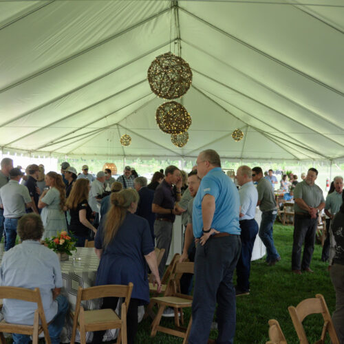 People mingle under a white event tent with hanging lights.