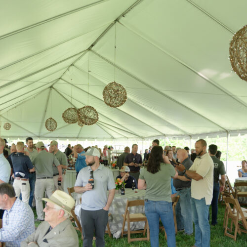Crowd conversing under white event tent at outdoor gathering.