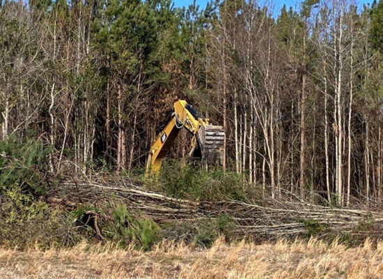 Yellow excavator stacks cut trees at forest edge.